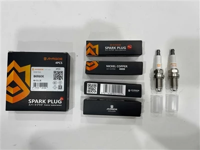 Ayrgoe Spark Slugs Introduction