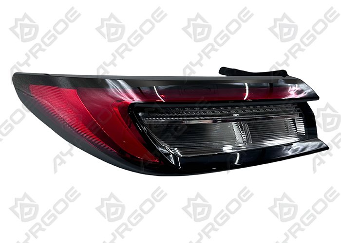 AYRGOE 4133100U7300-06 Luz trasera Izquierdo exterior JAC J7 2022