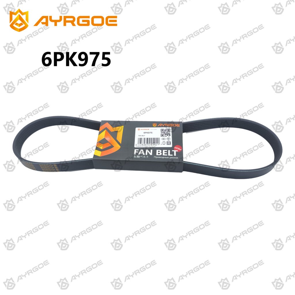AYRGOE 6PK975-02 Correa del ventilador ALFA ROMEO GTV 916 1995-1998|CITROEN C2 JM 2003-2009|FORD|MAZDA|PEUGEOT|SEAT|VW|FIAT