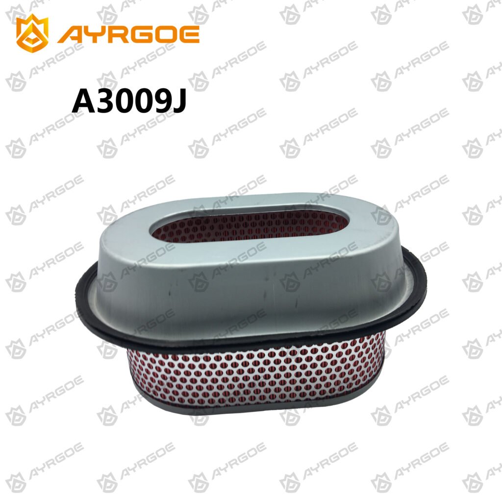 AYRGOE A3009J-04 Air Filter Mitsubishi Delica Space Gear 94-07 2.5TD 4D56T / L400