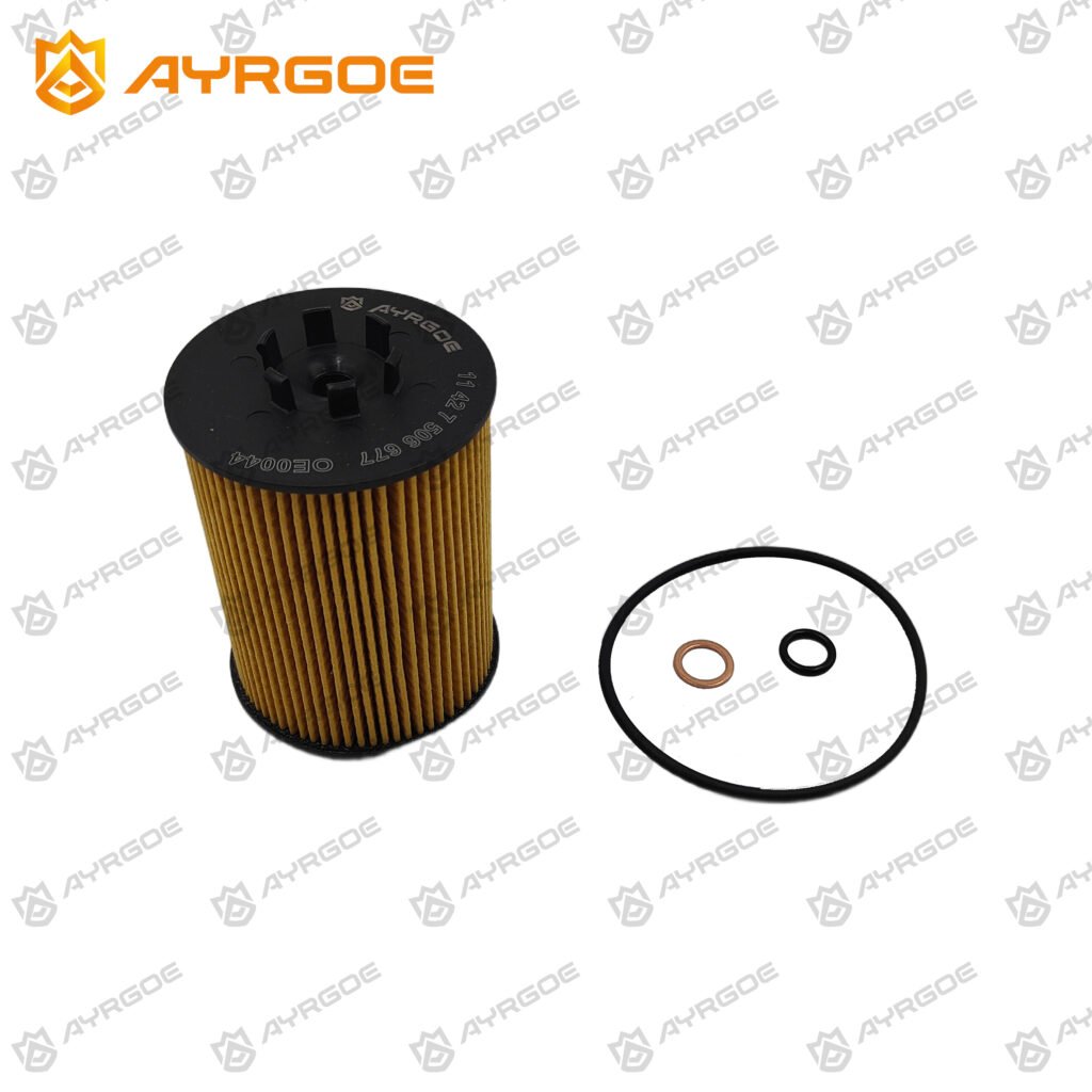 AYRGOE OE0044-04 Filtro de aceite BMW 545i E60-E61 03-05 4.4 N62